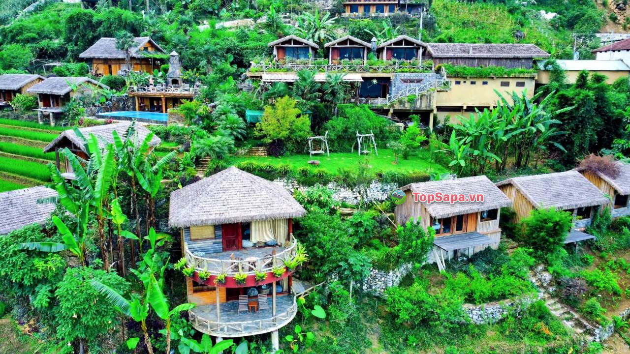 Eco Palm House Homestay Sapa